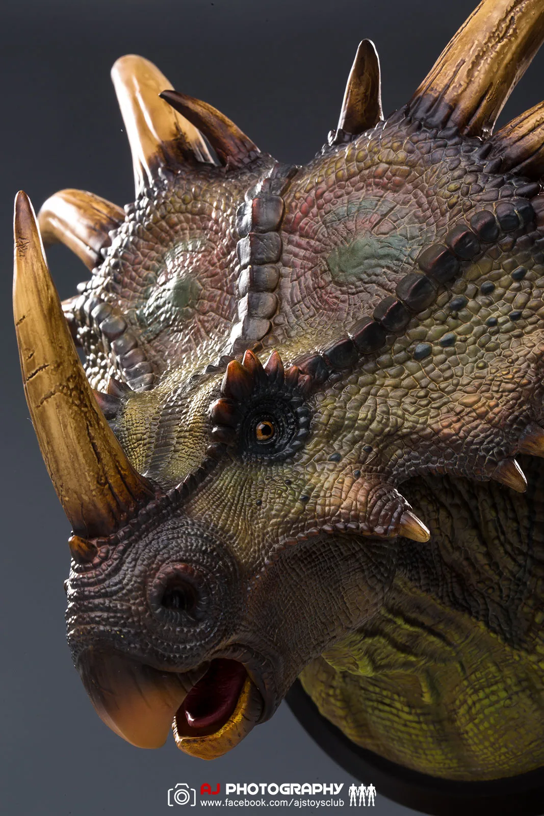 DAMTOYS Styracosaurus Statuie Agățat de Perete Paleontologie Lume Colectie Muzeul de Serie(NR.MUS004A/B) Aproximativ 26cm Mare