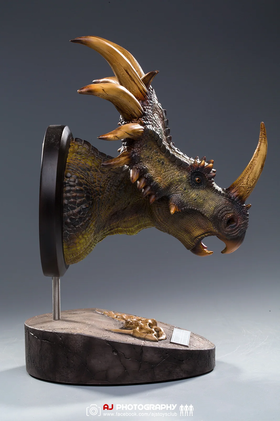 DAMTOYS Styracosaurus Statuie Agățat de Perete Paleontologie Lume Colectie Muzeul de Serie(NR.MUS004A/B) Aproximativ 26cm Mare